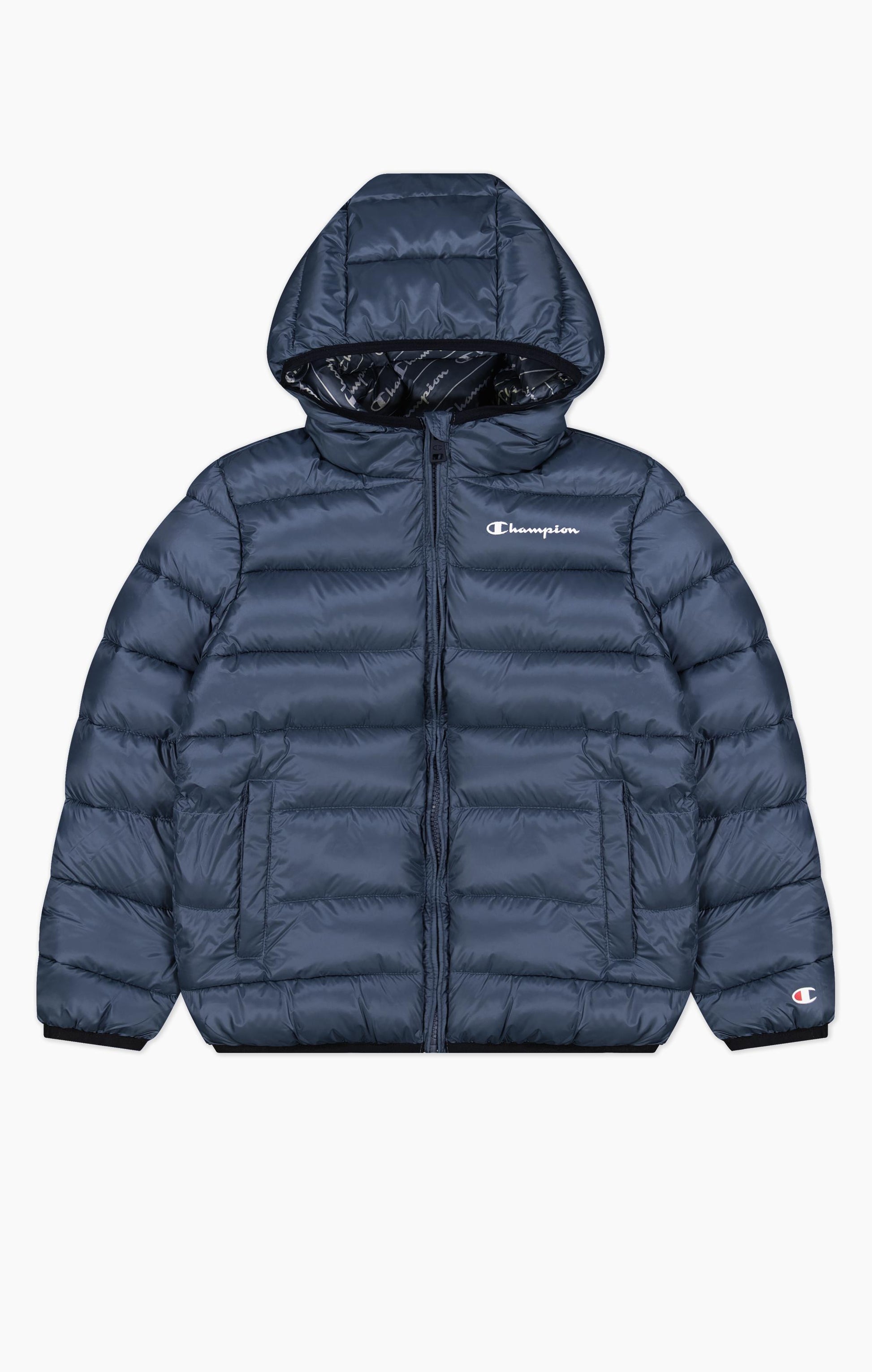 CHAMPION 306197 BS501  