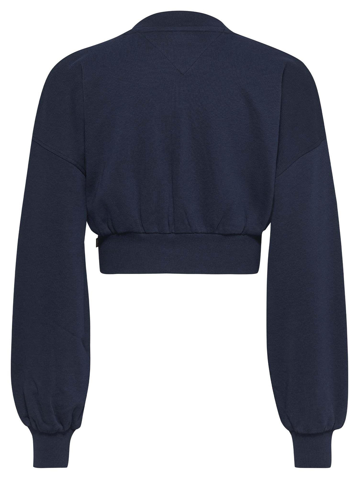 TOMMY HILFIGER DW0DW17334 C1G  