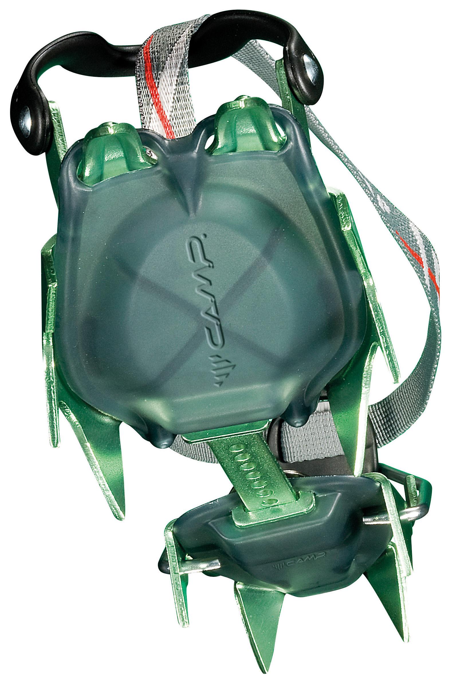 Image of CAMP 254202 .  