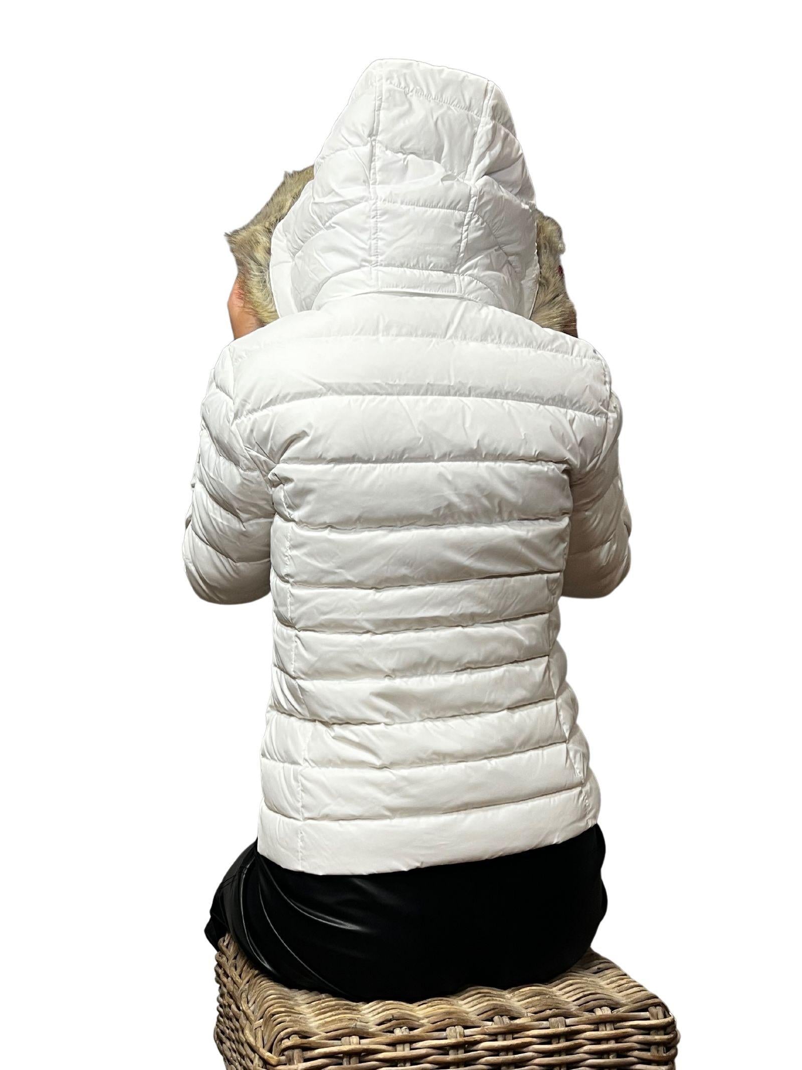 Image of TOMMY HILFIGER DW0DW08588 YBR  