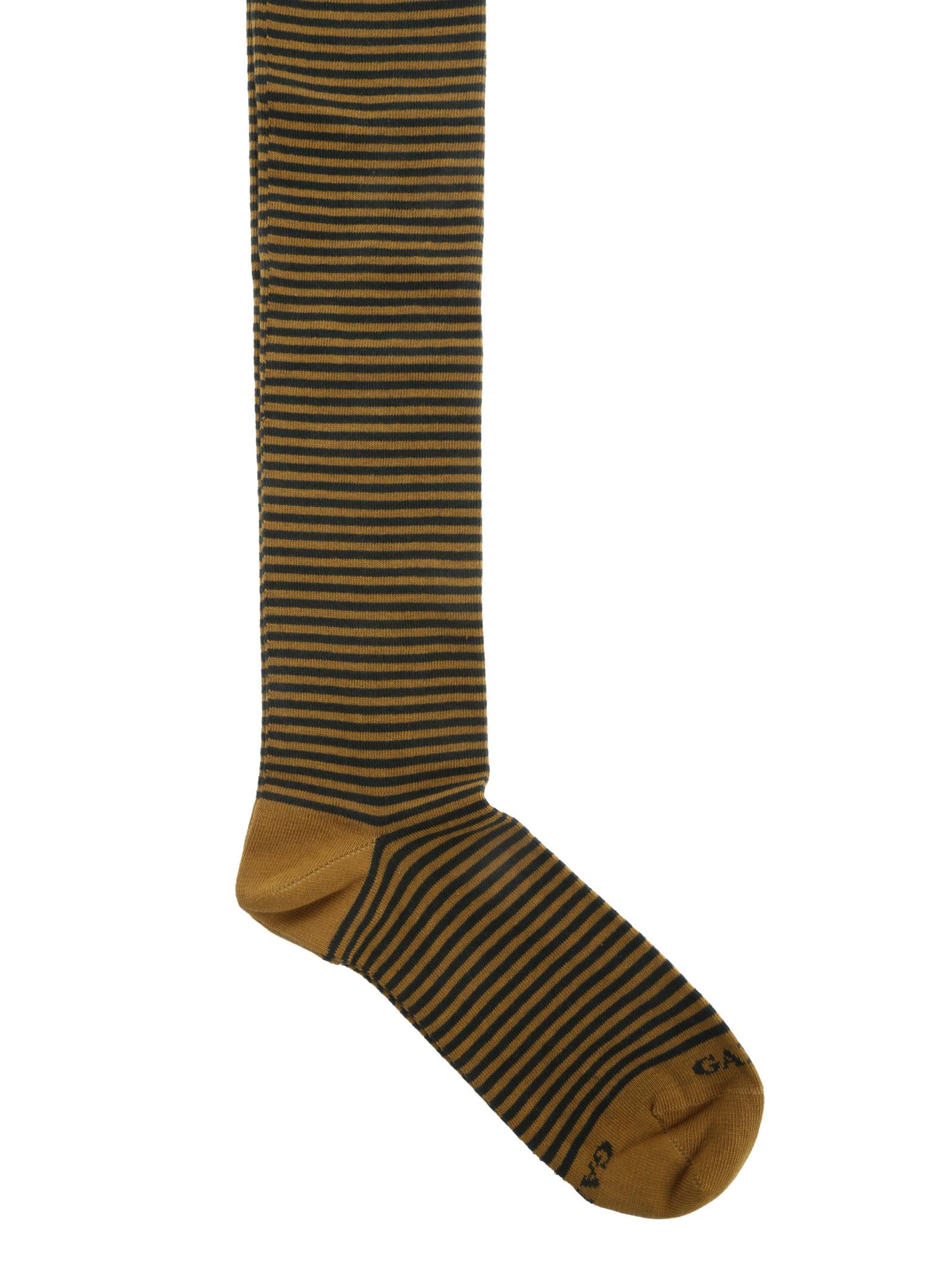 Image of GALLO AP102901 31882  