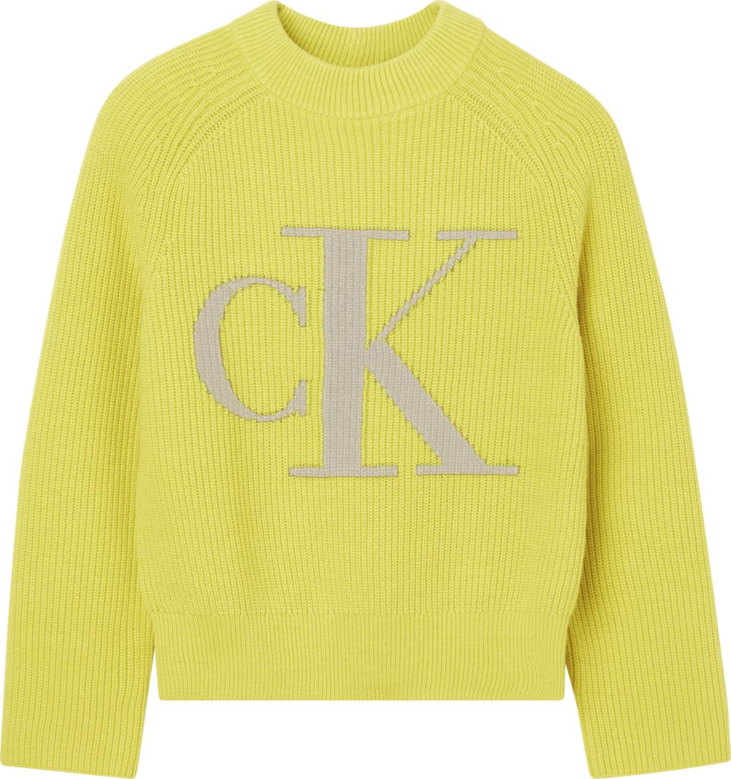 CALVIN KLEIN J20J219777 ZH8  