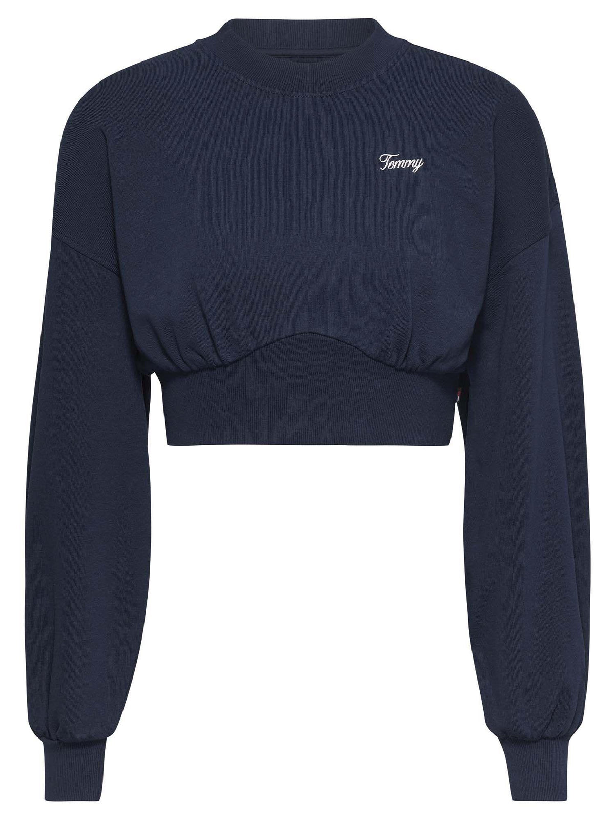 TOMMY HILFIGER DW0DW17334 C1G  