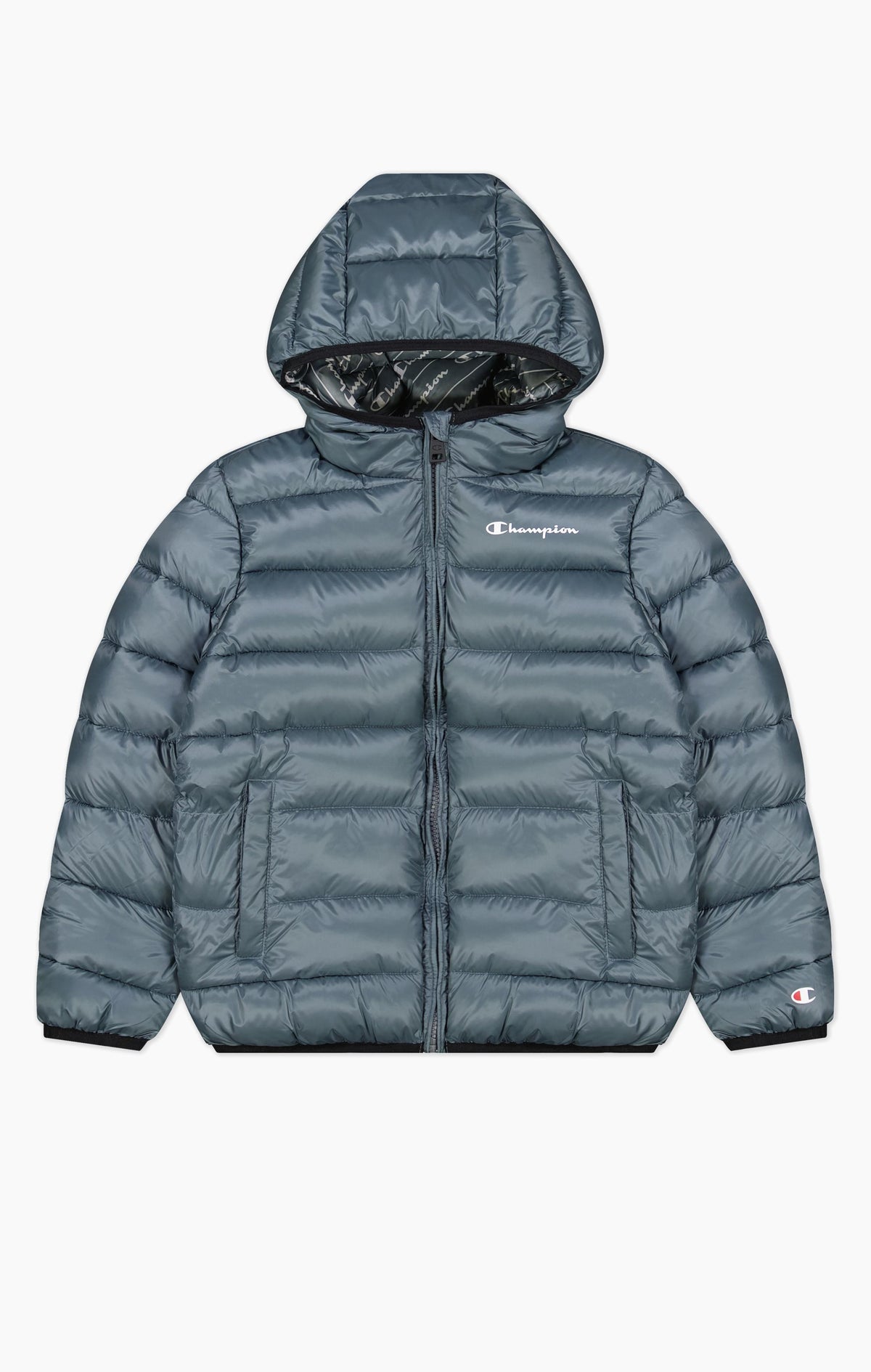 CHAMPION 306197 ES017  