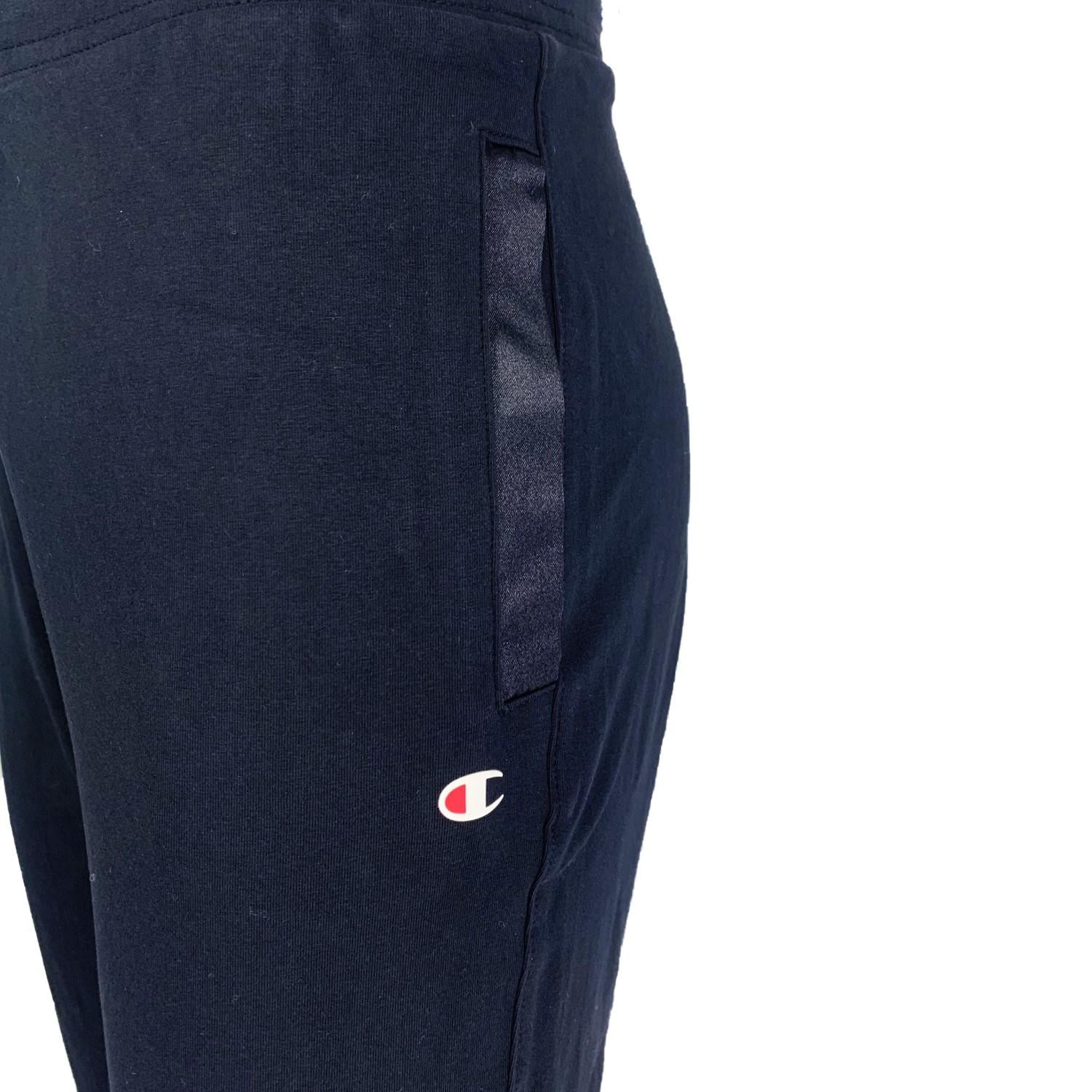 CHAMPION 116324 BS501  